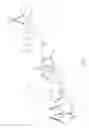 Fig. 02 - Bra incorporating shape memory polymers and method of manufacture thereof