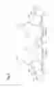Fig. 07 - Clothing article having cup parts