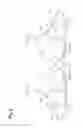 Fig. 09 - Clothing article having cup parts