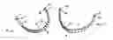 Fig. 01 - ITEM OF LINGERIE