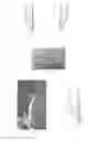 Fig. 03 - ITEM OF LINGERIE