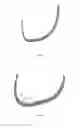 Fig. 05 - ITEM OF LINGERIE