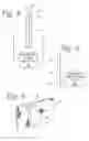 Fig. 03 - Adornment assembly for an article
