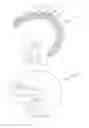 Fig. 01 - Biomechanics aware helmet