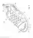 Fig. 02 - FOOTWEAR HAVING A LIGHTED TOE PORTION