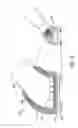 Fig. 12 - Decoupled foot stabilizer system