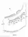 Fig. 44 - Decoupled foot stabilizer system