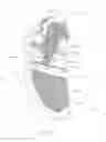 Fig. 25 - CLOSURE SYSTEM AND/OR SHOE CONFIGURATIONS FOR ENHANCING THE PERFORMANCE OF RUNNING SHOES
