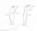 Fig. 30 - CLOSURE SYSTEM AND/OR SHOE CONFIGURATIONS FOR ENHANCING THE PERFORMANCE OF RUNNING SHOES