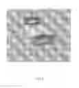 Fig. 06 - Adaptable Theme Bed