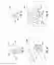 Fig. 15 - BLENDER RINSE ASSEMBLY