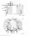 Fig. 06 - Grinder for grinding coffee beans as well as coffee machine comprising such a grinder