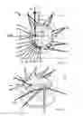 Fig. 07 - Grinder for grinding coffee beans as well as coffee machine comprising such a grinder