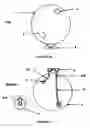 Fig. 03 - Portable flow sink