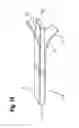 Fig. 10 - Dishwasher having at least two luminous surface elements