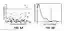 Fig. 06 - AUTOMATED DETECTOR AND CLASSIFIER OF HIGH FREQUENCY OSCILLATIONS AND INDICATOR SEIZURE ONSET