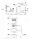 Fig. 01 - Peak selection for self correlation analysis of cardiac rate in an implantable medical devices