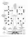 Fig. 01 - Wearable wireless patches containing electrode pair arrays for gastrointestinal electrodiagnostics