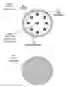 Fig. 04 - Wearable wireless patches containing electrode pair arrays for gastrointestinal electrodiagnostics
