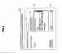 Fig. 10 - INFORMATION PROCESSING DEVICE, IMAGE OUTPUT METHOD, AND PROGRAM