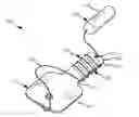 Fig. 01 - Designs and methods to facilitate swallowing of a tethered cell collection device