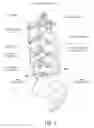 Fig. 03 - Methods, systems, and devices for the treatment of stenosis