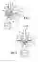 Fig. 06 - Bi-cruciate knee system