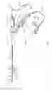 Fig. 02 - Lithotripsy apparatus using a flexible endoscope