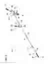 Fig. 03 - Catheter With Imaging Assembly With Placement Aid And Related Methods Therefor