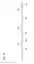 Fig. 40 - Catheter With Imaging Assembly With Placement Aid And Related Methods Therefor
