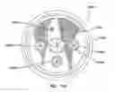 Fig. 31 - Natural orifice surgery system