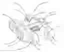 Fig. 01 - Interspinous fusion device