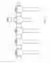 Fig. 06 - Bone fixation device