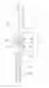 Fig. 01 - Long Bone Screw for Minimally Invasive Surgery