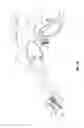 Fig. 02 - Apparatus for performing an electrosurgical procedure