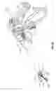 Fig. 03 - Apparatus for performing an electrosurgical procedure