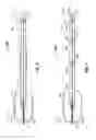Fig. 04 - MICROWAVE-SHIELDED TISSUE SENSOR PROBE