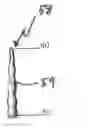 Fig. 01 - Customized root canal obturation cores and methods of making customized root canal obturation cores