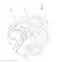 Fig. 18 - Orthodontic Bracket