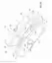 Fig. 19 - Orthodontic Bracket