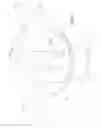 Fig. 25 - Orthodontic Bracket