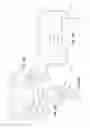 Fig. 21 - Orthodontic Bracket