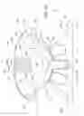 Fig. 24 - Orthodontic bracket