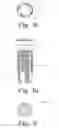 Fig. 04 - Deposition of discrete nanoparticles on a nanostructured surface of an implant