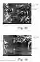Fig. 11 - Deposition of discrete nanoparticles on a nanostructured surface of an implant