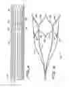 Fig. 09 - Vein filter