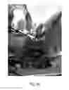 Fig. 48 - Apparatus and method for clamping and trimming the bone tendon portion of a graft to a desired size
