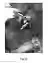 Fig. 55 - Apparatus and method for clamping and trimming the bone tendon portion of a graft to a desired size
