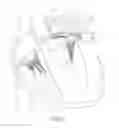 Fig. 04 - Cardiac valve commissure brace