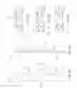 Fig. 05 - Cardiac valve commissure brace